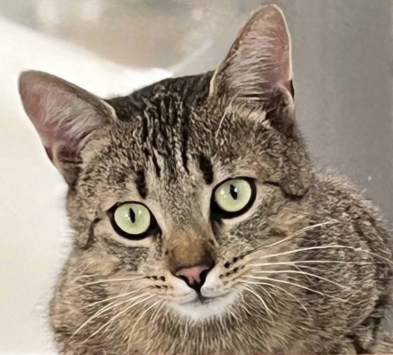 Vorsorge & Prävention