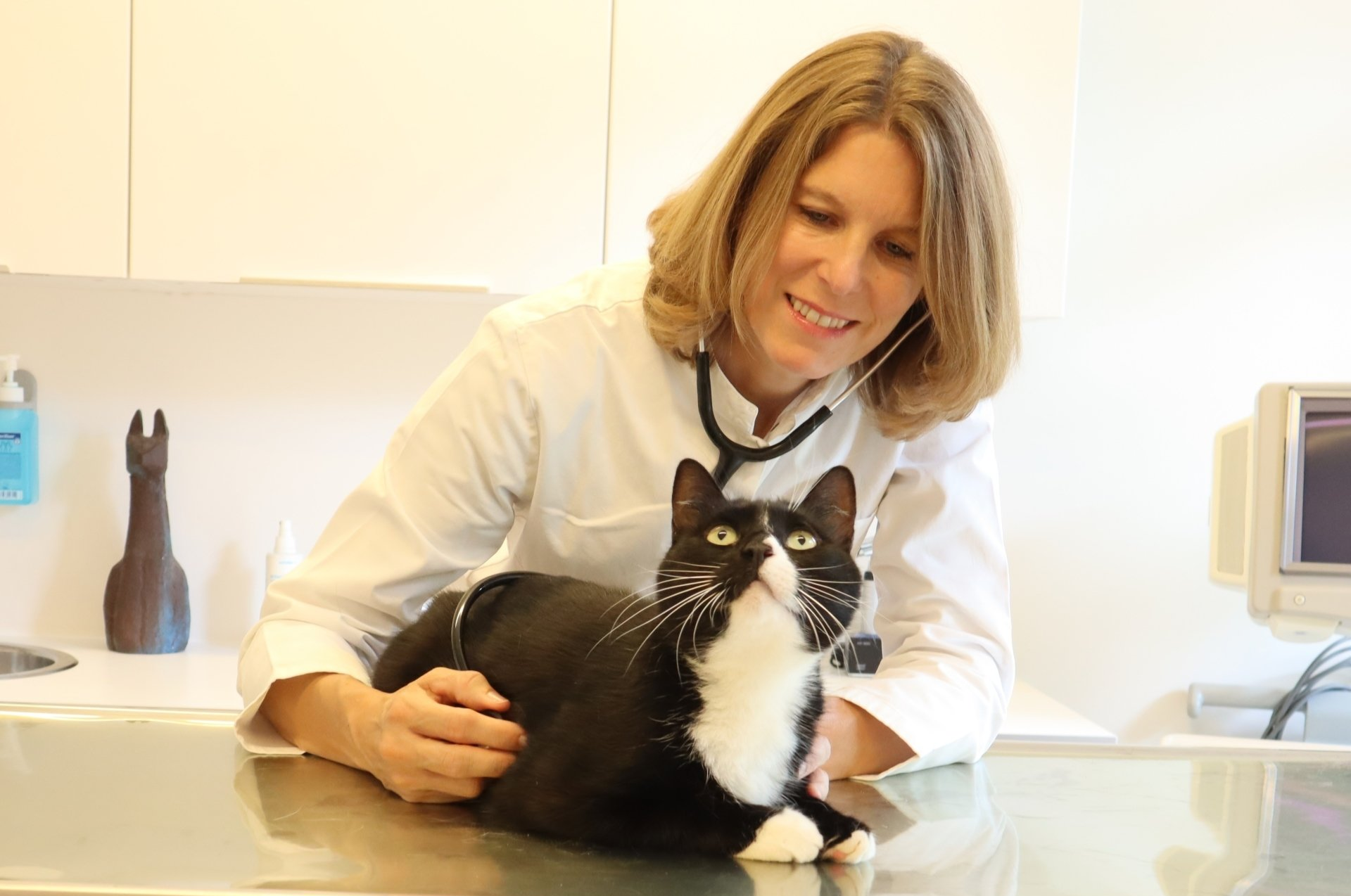 Tierarztpraxis Dr. Schröer